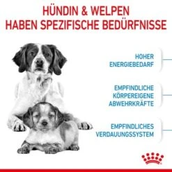 ROYAL CANIN Medium Starter 15 Kg -Heimtierbedarf Geschäft 03a28cbfa060fbe0cdfb173eaf6e1963dd73e6d3 c4664a5aa615f87e883339daf8410e0a16da2316