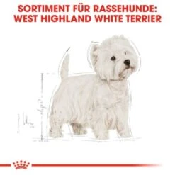 ROYAL CANIN West Highland White Terrier Adult 3 Kg -Heimtierbedarf Geschäft 0667f52350b758ef015a284d5118480e95fa3389 1062013 de DE rc 2
