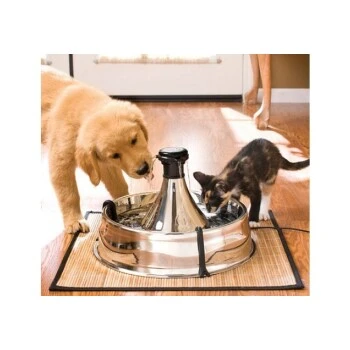 PetSafe Drinkwell Edelstahl Trinkbrunnen 3,8L 4 PetSafe Drinkwell Edelstahl Trinkbrunnen 3,8L - Image 2