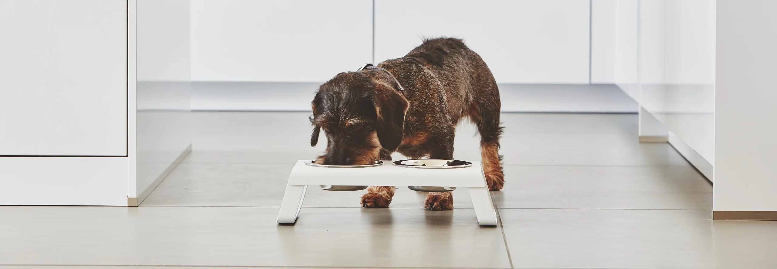 Heimtierbedarf Geschäft -Heimtierbedarf Geschäft 1