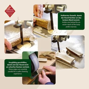 ChronoBalance Geweih Halbiert (M) 2er Paket 5 ChronoBalance Geweih Halbiert (M) 2er Paket - Image 3