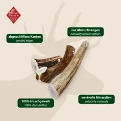 ChronoBalance Geweih Ganz (XL) 2er Paket -Heimtierbedarf Geschäft 227b4896b023f1721ec9ccfcda37ed549cced470 1418693 de DE 97f6faa2e066481717c6e9970bb381a3824303b8vU2fW5