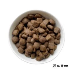 Eat Small EatSmall 2kg Maxi Active Trockenfutter -Heimtierbedarf Geschäft 22e161dfc285ae2a6a1e5a0dc3dd026c918ef066 1450723 de DE 7be7b6abbd10a501ad4eda906b0ca458956766a1CXCEHe