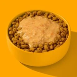 Fred & Felia FRED Smoothie Huhn Mit Kurkuma 10 X 200g -Heimtierbedarf Geschäft 236bc2fb7203a95703c196a9d37d1a264cc266a0 1428005 de DE 1d687c6cc508a78e5eeee2cd9e468729594e5ec1PmlLMC