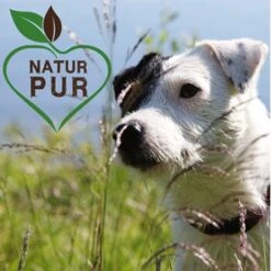 Fit-Crock Classic Lamm Mini -Heimtierbedarf Geschäft 294d1cda825d170943465cbb0a88ea0e74afc0d0 1687100 de DE 5576b019e140574c03da26f1354a1c04162c365aPCJVe0