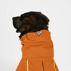 THE DOG IDEA Regenmantel Duke Orange XXXS 9 THE DOG IDEA Regenmantel Duke Orange XXXS -Heimtierbedarf Geschäft 2c464c8150423d80739b1409ce956e12c7928827 1473000 de DE 974a3540330c77e50b2a59dc10e705f1dbfc6716V9PfXa