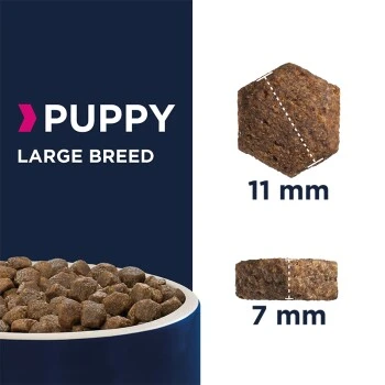 EUKANUBA Puppy Large Breed 15 Kg 4 EUKANUBA Puppy Large Breed 15 Kg – Bild 2