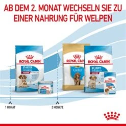 ROYAL CANIN Medium Starter 15 Kg -Heimtierbedarf Geschäft 323c948a6eab33359f3e5764f6ff7e36767b7df3 63bcd70a2b109cfaa9c260c3910751bd53fef802