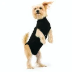Trovet Hundebody Recovery Suit Schwarz XXS 7 Trovet Hundebody Recovery Suit Schwarz XXS -Heimtierbedarf Geschäft 32b188fe2b1d79c98c3d705ed0768a2dea55c852 c9c58232ac385af15a91fd1318f8583c048209d5