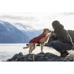 Ruffwear Overcoat™ Hundejacke Rot M -Heimtierbedarf Geschäft 32b81091541e421621a809b75c62062d90eca320 1369977 de DE e6611e4bd31113b7d836455a75813df21f681f8eLLYoOv