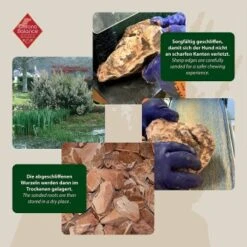 ChronoBalance Kauwurzel Baumheide (S) 2er Paket -Heimtierbedarf Geschäft 337f42f7f9e26434f99a76b1eb1228e2cb3c330b 1418713 de DE ba8b2a31068658c9820512bd79f25900dbe0cd09dhzOS0