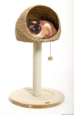 Karlie Kratzbaum Banana-Leaf II, 56x93 Cm