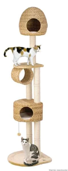 Karlie Kratzbaum Banana-Leaf VI, 68x57x229 Cm