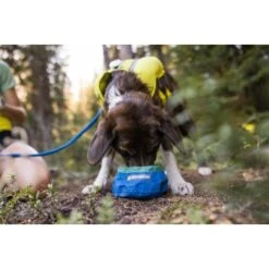 Ruffwear Trail Runner™ Napf 17 Ruffwear Trail Runner™ Napf -Heimtierbedarf Geschäft 379fe16a7a50c8e71290f739965451bab58f5404 1651571 de DE cc80a2ec211d680722d58d483cd6e35959c0ef22Kohbda