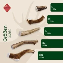 ChronoBalance Geweih Ganz (XL) 2er Paket -Heimtierbedarf Geschäft 3b2a18489389d9983eab6dd95ba35beb37c3f6ee 1418693 de DE 9000f1c6c85d241db6c67b53955280ae842a85a4m62yae