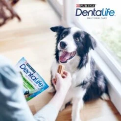 DentaLife PURINA Hunde Zahnpflege-Snacks Großpackung Medium, 84x 11 DentaLife PURINA Hunde Zahnpflege-Snacks Großpackung Medium, 84x -Heimtierbedarf Geschäft 3d22bf74a99660236ce1548620fac8aa3ac8818f 7dac1d18ca011066644ad899fee9fa3bcb5974f5