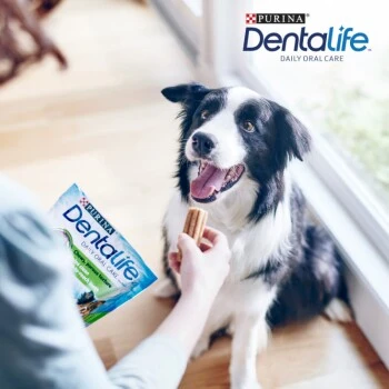 DentaLife PURINA Hunde Zahnpflege-Snacks Großpackung Medium, 84x 6 DentaLife PURINA Hunde Zahnpflege-Snacks Großpackung Medium, 84x – Bild 4