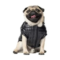 Canada Pooch Glänzende Pufferweste XXS 8 Canada Pooch Glänzende Pufferweste XXS -Heimtierbedarf Geschäft 3f39dd202240281d6a8313034415507d9f74aa31 11c6ae75a893f72a8c9fcd54083aee8fc460e2be
