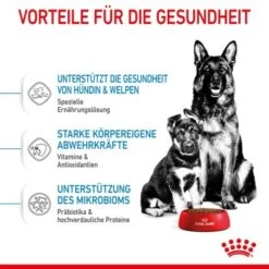 ROYAL CANIN MAXI Starter 15kg -Heimtierbedarf Geschäft 3f492eb193a7d2aa85c8c44a42e2b9f200c7c02c 1044296 de DE royalcaninwb3