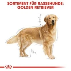 ROYAL CANIN Golden Retriever Adult 12 Kg 12 ROYAL CANIN Golden Retriever Adult 12 Kg -Heimtierbedarf Geschäft 3f6d567572cfb1e47a6150727d5c2bca6786edbc 449b3ff968c54d107edb2d725c3518ba098a60bf