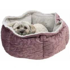 Trixie Bett Estelle Samt-Optik ø 50 Cm Beere/ Grau 15 Trixie Bett Estelle Samt-Optik ø 50 Cm Beere/ Grau -Heimtierbedarf Geschäft 3fc57332f490094d28401cb38c81b31f75d7480f 1378629 de DE Trixie 7