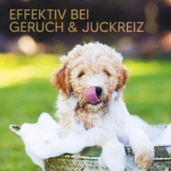 Pawlie's Welpenshampoo -Heimtierbedarf Geschäft 42f9c58257fb2002e5c33c2d81bd829c9adeb1cc 1626204 de DE 8b17d3990cf88ea437c76c60b6848183bc9636a5a44ihJ