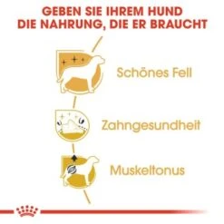 ROYAL CANIN Poodle Adult 7,5 Kg -Heimtierbedarf Geschäft 4355b892883386eeffdea0883bc90c793459812d bc34c65453008173386e7fdf784644e070da89b9