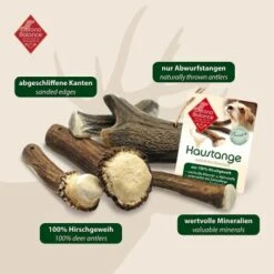 ChronoBalance Geweih Halbiert (M) 2er Paket 13 ChronoBalance Geweih Halbiert (M) 2er Paket -Heimtierbedarf Geschäft 49b2abc7cad0ffeac02d060cf9f29719b7c1554c 1418686 de DE 902a389be4b99eb60431c66affbaefe4377d76894qYs7t