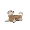 Lills Lill's Hundebademantel "Sand" 30 Cm -Heimtierbedarf Geschäft 52f46aa046711d6de7280303fcb834616d411963 1488040 de DE afdddd80a29bcf00bf2e5fcfa25851139dc3a8fdeqvcK6