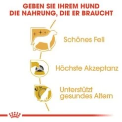 ROYAL CANIN Yorkshire Terrier Adult 1,5 Kg -Heimtierbedarf Geschäft 55eb2ddc01e728035ce25d3d59cb02ce64bf6a83 c56235c0f78a67c501b179d41a4f1def2392c063