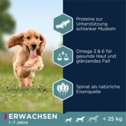 EUKANUBA Adult Small & Medium Breed Lachs 12kg -Heimtierbedarf Geschäft 5933f8752d3e56543c86195fc7fc048ee244f003 87fd8c6c7395e3c5af5bdc8f2510da668a11f0d1