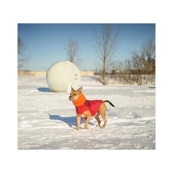 GF Pet Scout Jacke Rot XXS 6 GF Pet Scout Jacke Rot XXS - Image 4