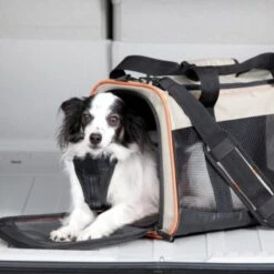 Kurgo Tragetasche Wander Carrier -Heimtierbedarf Geschäft 5f37eeacc6d94626562741806ff5b8f89f134e7e 1286389 2