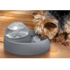 Numaxes Eyenimal Trinkbrunnen 1,5l 8 Numaxes Eyenimal Trinkbrunnen 1,5l -Heimtierbedarf Geschäft 612512ae3e55fd25731acfc2a0abcdc5bfeba8fb b7754bc2b320ccef10b70045a810474d6996a8cb