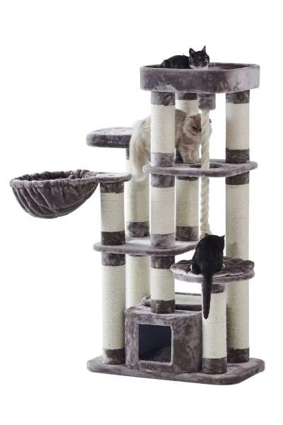 Nobby Kratzbaum FREDO | 158 Cm 3 Nobby Kratzbaum FREDO | 158 Cm