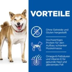 Hill's Science Plan No Grain Adult Medium Ohne Getreide Geflügel 14 Kg 9 Hill's Science Plan No Grain Adult Medium Ohne Getreide Geflügel 14 Kg -Heimtierbedarf Geschäft 6586ae1353ed3462827033edbfb4d437c174d59b 52742037080 4