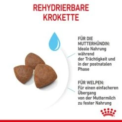 ROYAL CANIN Medium Starter 15 Kg -Heimtierbedarf Geschäft 6679a3b2bdb7a15a7a249f4fa1a6163b4dfd2e51 f6d1aa2f2e73ece1ddeaaf947b0214ea4e0e5123