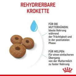 ROYAL CANIN MAXI Starter 15kg -Heimtierbedarf Geschäft 6b3d4eca89fc38af516846f4b626b5bde7538980 1044296 de DE royalcaninwb4