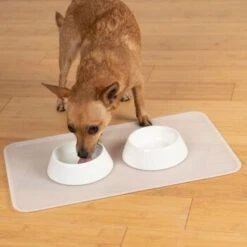 KaraLuna Basic Napfunterlage Transparent S -Heimtierbedarf Geschäft 6f92b46b9666870298738b4bee75a50ee534fac6 1407499 de DE 14497c23a79b7136237df13f9c32b5ed84fd5ff04vyZgl