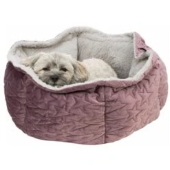 Trixie Bett Estelle Samt-Optik ø 50 Cm Beere/ Grau 16 Trixie Bett Estelle Samt-Optik ø 50 Cm Beere/ Grau -Heimtierbedarf Geschäft 77bb4f5cd7384a9905de3a40eb3a823ce700b54b 1378629 de DE Trixie 6