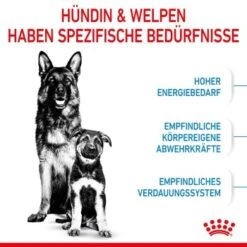 ROYAL CANIN MAXI Starter 15kg -Heimtierbedarf Geschäft 84509061cc88bbba93af28332fe80ae82ca37ef9 1044296 de DE royalcaninwb2