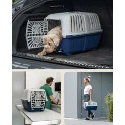 Lionto Transportbox Aus Plastik Dunkelblau S 8 Lionto Transportbox Aus Plastik Dunkelblau S -Heimtierbedarf Geschäft 854b33e0212746e2742bf348acb81ce960e7835d 1657970 de DE bf0d458c49317bc95655d9643981fbb583fd8a3aX5s2ed