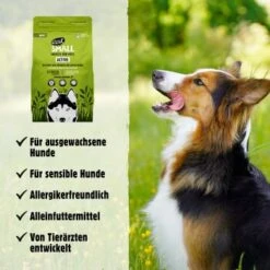 Eat Small EatSmall 2kg Maxi Active Trockenfutter -Heimtierbedarf Geschäft 8ce5231807dbcfa11bfebbb58ab3376db975810f 1450723 de DE 045556f8e417da90be61f538db133a32cf0ddbabSrtas7
