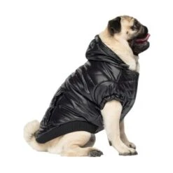 Canada Pooch Glänzende Pufferweste XXS 9 Canada Pooch Glänzende Pufferweste XXS -Heimtierbedarf Geschäft 8ec11177ec9f86d200ff22bc3e0c234ecff91e7e dfb5b396c833a1ace7625fc5796632bee13eda68