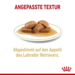ROYAL CANIN Labrador Retriever Adul Stückchen In Soße 10x140g -Heimtierbedarf Geschäft 908d2bfcf8b7046cd23a14cb7b707cf7b2315fea b65885ba483fc622da80d0c8a5f75f1f8003e0ca