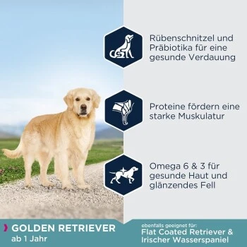 EUKANUBA Breed Specific Golden Retriever 12 Kg 6 EUKANUBA Breed Specific Golden Retriever 12 Kg - Image 4