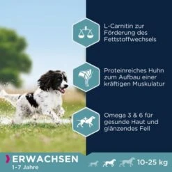 EUKANUBA Active Adult Medium Breed Mit Huhn 15 Kg -Heimtierbedarf Geschäft 974a6b86f2565ad809ee31d93823535018b6d34e 8710255119786 2