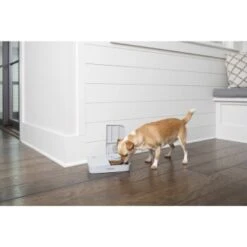 PetSafe Futterautomat Für 2 Mahlzeiten -Heimtierbedarf Geschäft 98670f242f118bad629edcf021dc784c6a55633d 1343837 2