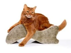 Cat-On Kabou | 500 X 180 X 280 Mm | Katzenmöbel