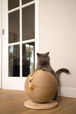 Karlie Kratzball BALTY | Designed By Lotte | Für Katzen